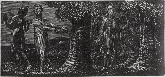Colinet Mocked by Two Boys, Illustration from Dr. Thornton